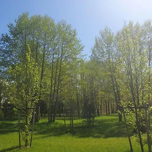  Kwatera prywatna 3 Pokojowy Lub W Mieszkaniu W Nowym Bloku
